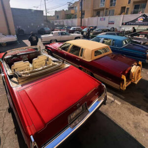 Custom Lowrider Builds