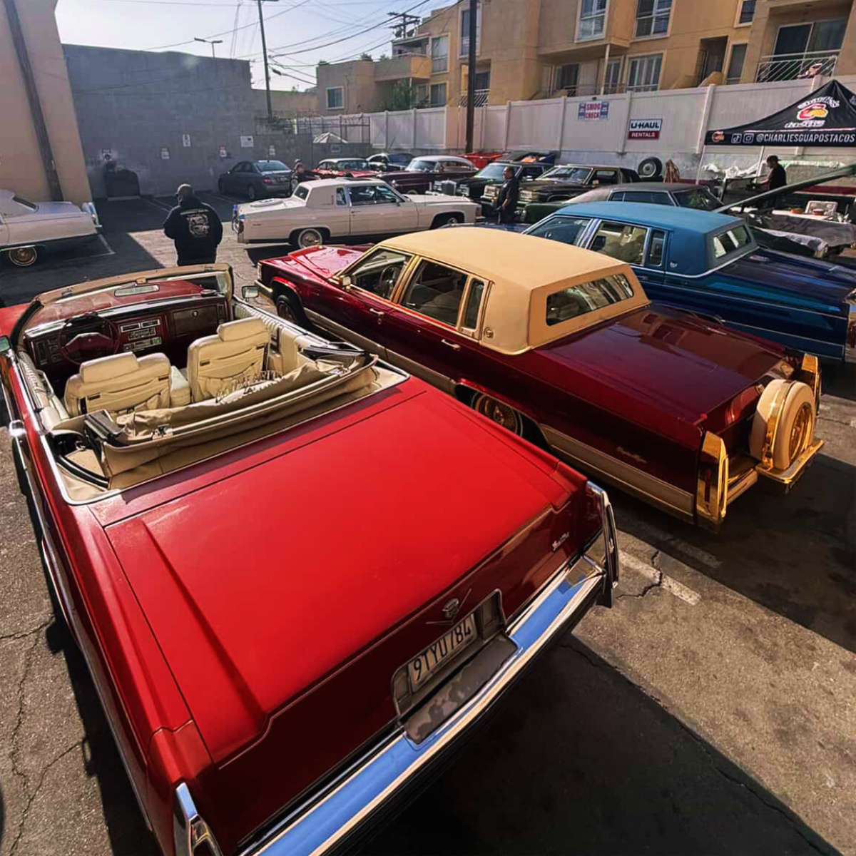 Custom Lowrider Builds